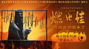 18av在线视频